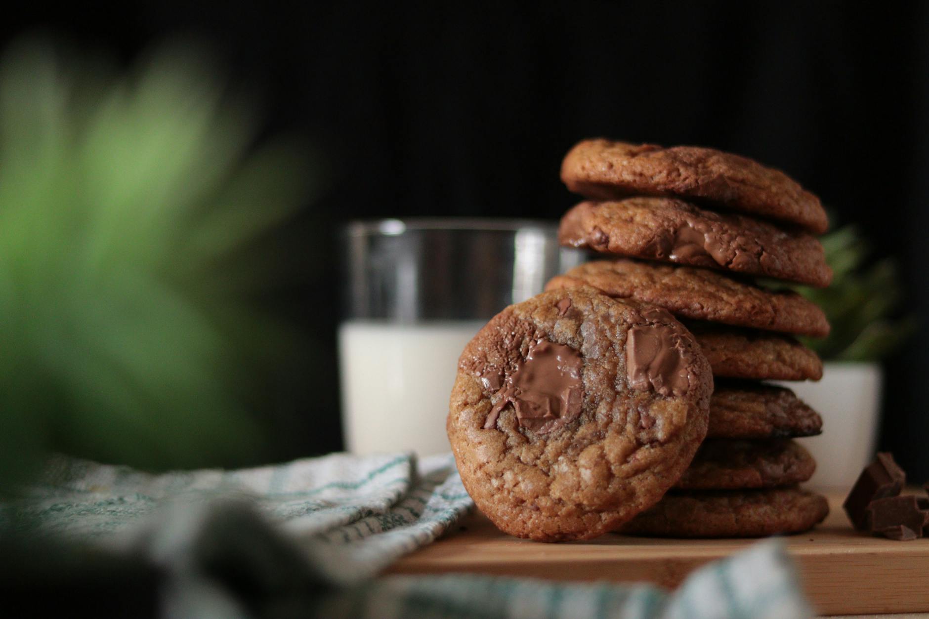 close up shot of chocolate cookies